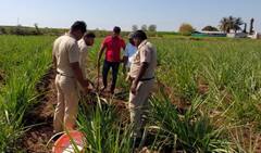 Indapur : इंदापुरात सापडली बॉम्ब सदृश्य वस्तू; बीडीडीएस पथकाने स्फोट करून केला नाश