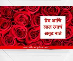 Valentine Day 2023 : प्रेमा तुझा रंग कसा? लाल रंग आणि प्रेमाचं अतूट नातं, वाचा सविस्तर