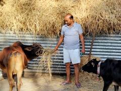 छत्तीसगढ़: औलाद की तरह करते हैं मवेशियों की सेवा, अपनी सैलरी से उठाते हैं पूरा खर्च