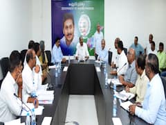 Minister Peddireddy : భూముల సమగ్ర సర్వే కోసం 3 కోట్ల సర్వేస్టోన్స్ -మంత్రి పెద్దిరెడ్డి