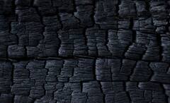 Coal Formation: এক একটি আস্তরণেই লেগে যায় কয়েক হাজার বছর, সম্পদ থেকে আজ বিভীষিকা কয়লা