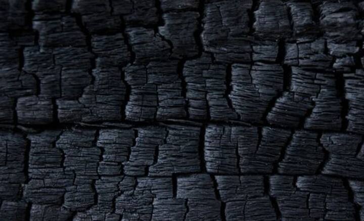 কবে, কখন সূচনা হয়েছিল, নির্দিষ্ট করে জানা নেই। কিন্তু হাজার হাজার বছর ধরে জ্বালানি হিসেবে ব্যবহৃত হচ্ছে কয়লা। শিল্পবিপ্লবের সময় থেকে বিদ্যুৎ উৎপাদনেও কয়লার ব্যবহার সার্বিক হয়ে দাঁড়িয়েছে।