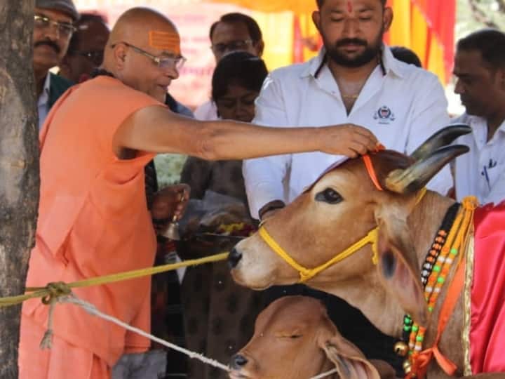 Cow Hug Day in Jabalpur celebrated by Swami Akhileshwaranand appeal to avoid valentine day ann Cow Hug Day: जबलपुर में मनाया गया 'काऊ हग डे',  स्वामी अखिलेश्वरानंद ने Valentine Day को बताया 'वासना' का प्रतीक