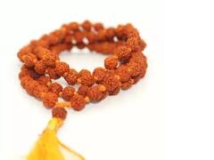 வருகிறது மகா சிவராத்திரி:  ருத்ராட்ச பூஜை செய்வது எப்படி? ஏன் செய்ய வேண்டும்?