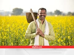 Agriculture: जमीन खरेदी करताय? मग सातबाऱ्यावरील या गोष्टीकडे लक्ष द्या