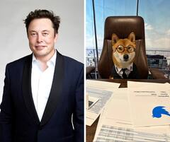 Twitter CEO : एलॉन मस्क यांच्याकडून ट्विटरच्या नव्या CEO ची घोषणा, माणूस नाही हा तर 'कुत्रा'