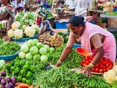 Vegetable Price:பெட்ரோலை விட அதிகம்.. உச்சத்தில் பூண்டு, முருங்கைக்காய்.. இன்றைய காய்கறி விலை நிலவரம் இதோ..