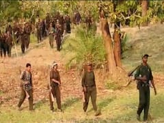 छत्तीसगढ़: नारायणपुर में कुत्ते की वजह से बाल-बाल बचा जवान, गश्त के दौरान हुआ था बम विस्फोट, कुत्ते की चली गई जान