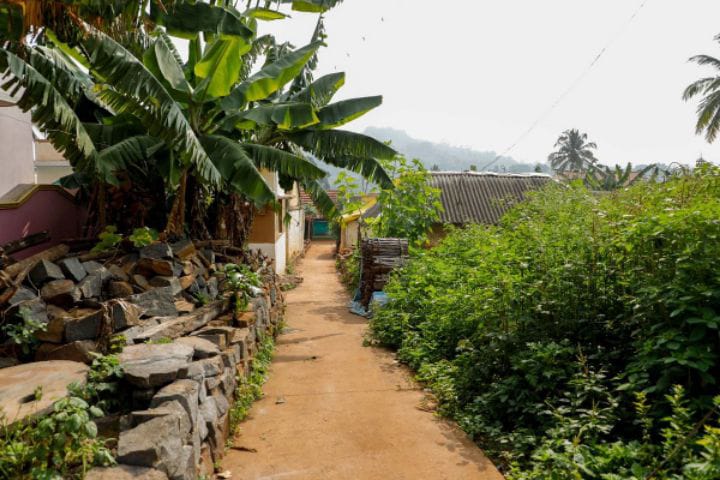 Pachamalai Hills:  ஊர் சுற்றலாம் வாங்க....இயற்கை அழகை தன்னுள் கொண்டுள்ள  பச்சைமலை பற்றி பார்ப்போம்