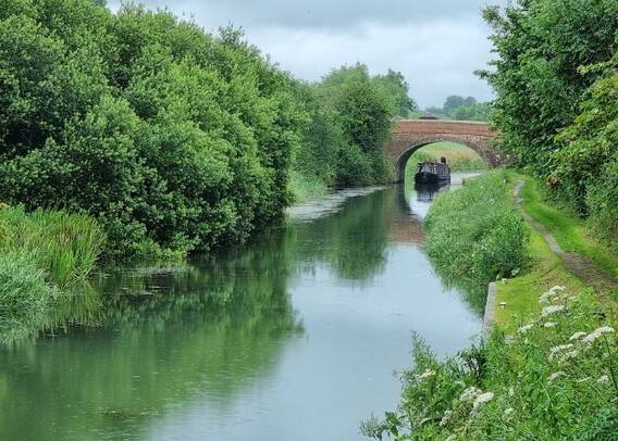 Irrigation : महाराष्ट्रात 28 लघु सिंचन प्रकल्प पूर्ण