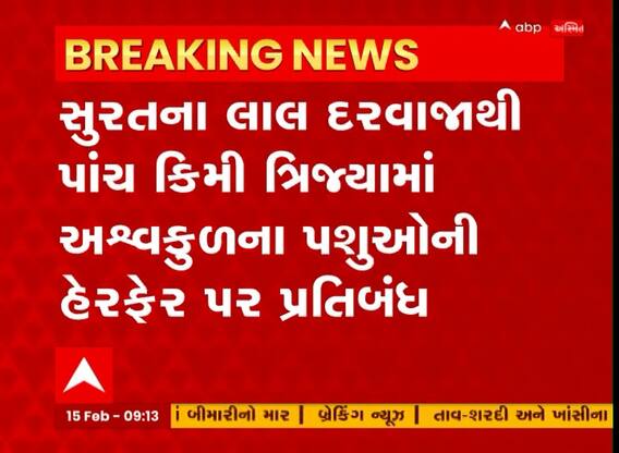 Surat: લાલ દરવાજાથી આટલી જગ્યામાં અશ્વકુળના પશુઓની હેરફેર પર લગાવી દેવાયો પ્રતિબંધ, જુઓ વીડિયો