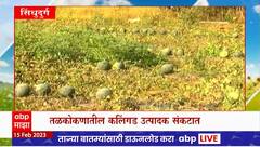 Saat Barachya Batmya : 7/12 : सात बाराच्या बातम्या : कलिंगड दर घसरणीचा युवा शेतकऱ्यांना मोठा फटका