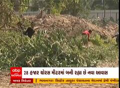 Gandhiangar: ધારાસભ્યોના નિવાસ્થાન માટે કેટલા અને કયા કયા વૃક્ષોનો લેવાશે ભોગ?