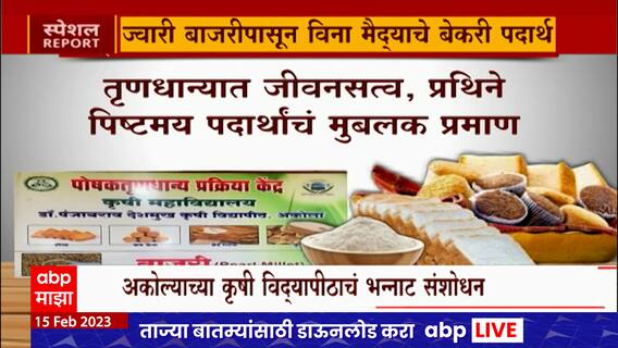 Refined Flour Special Report : आता मैदा बेकरी प्रोडक्टला पर्याय, खवय्यांसाठी पर्वणी