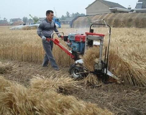 Subsidy : 50% Subsidy on Reaper Grinder Machine for Harvesting Wheat Subsidy : ખેડૂતોને મોંઘી મજુરીની ઝંઝટમાંથી મુક્તિ, આ મશીન માત્ર 1 કલાકમાં 1 એકરમાં કરશે લણણી