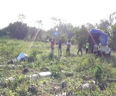Watermelon  : कलिंगडाचे दर घसरले, बळीराजा संकटात