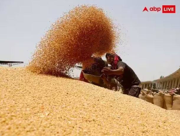 Wheat production Going to Remain on Record level this year due to this Flour prices will Come down Wheat Production : ਕਣਕ ਦਾ ਹੋਵੇਗਾ ਰਿਕਾਰਡ ਝਾੜ , ਆਟੇ ਦੀ ਕੀਮਤ ਘਟੇਗੀ , ਜਾਣੋ ਕਿਉਂ ਇਸ ਵਾਰ ਮਿਲੇਗਾ ਇਹ ਫਾਇਦਾ