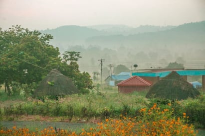 Pachamalai Hills Trichy Tourist Destination Which has Natural Beauty in it TNN Pachamalai Hills:  ஊர் சுற்றலாம் வாங்க....இயற்கை அழகை தன்னுள் கொண்டுள்ள  பச்சைமலை பற்றி பார்ப்போம்