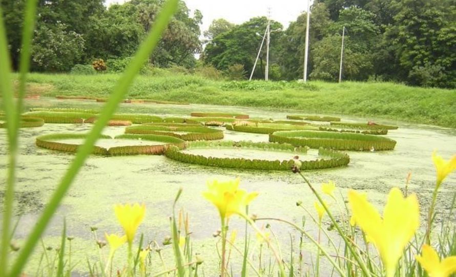 Howrah History: মরচে ধরা গা ছুঁয়ে আজও বয়ে যায় নদী, এককালের শিল্পশহর হাওড়া, ইতিহাস মনে রেখেছেন কেউ কি!