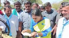 YS Sharmila: నీరా తాగిన వైఎస్ షర్మిల - నెట్టింట వైరల్ గా మారిన ఫొటోలు!