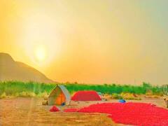 यहां किसान के खेत में उगते है सूरज और चांद...गांव के हर घर में बैठा है एक एक्सपर्ट