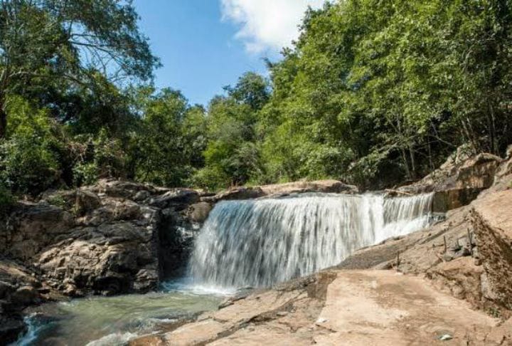 Pachamalai Hills:  ஊர் சுற்றலாம் வாங்க....இயற்கை அழகை தன்னுள் கொண்டுள்ள  பச்சைமலை பற்றி பார்ப்போம்