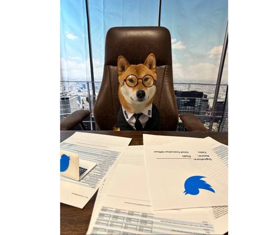 एलॉन मस्क यांचा कुत्रा ट्विटरचा नवा CEO