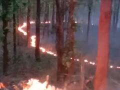 जंगलों को आग से बचाने के लिए छत्तीसगढ़ सरकार ने निकाला नायाब तरीका, अधिकारियों को दिए ये निर्देश