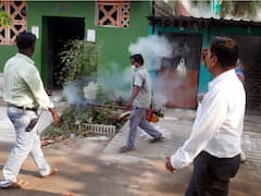 IN PICS: Chennai Corporation Spray Mosquito Repellents With Drones To Curb Dengue, Chikungunya