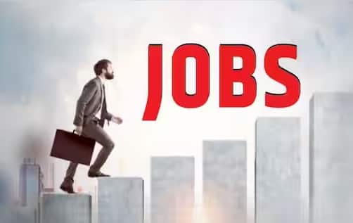 job majha Recruitment for various posts in Indian Bank Brihanmumbai Municipal Corporation and Employees Provident Fund Organization Job Majha : संधी नोकरीची! इंडियन बँक आणि बृहन्मुंबई महानगरपालिकेत विविध पदांसाठी भरती