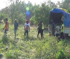 Watermelon  : कलिंगडाचे दर घसरले, बळीराजा संकटात
