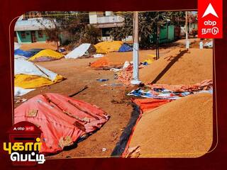 Pugar Petti: மதுரை: மழை, வெயிலில் மலைபோல் குவிந்து கிடக்கும் நெல் மூட்டைகள்:  நேரடி கொள்முதல் நிலையத்தில் அரங்கேறும் அவலம்!
