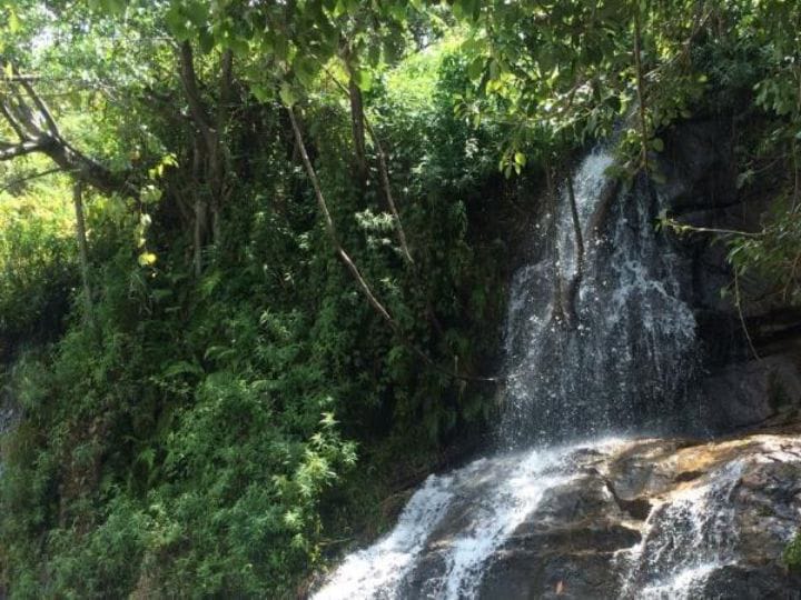 Pachamalai Hills:  ஊர் சுற்றலாம் வாங்க....இயற்கை அழகை தன்னுள் கொண்டுள்ள  பச்சைமலை பற்றி பார்ப்போம்