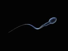 Experimental Male Contraceptive Drug Stops Sperm Movement, Prevents Pregnancies In Preclinical Study