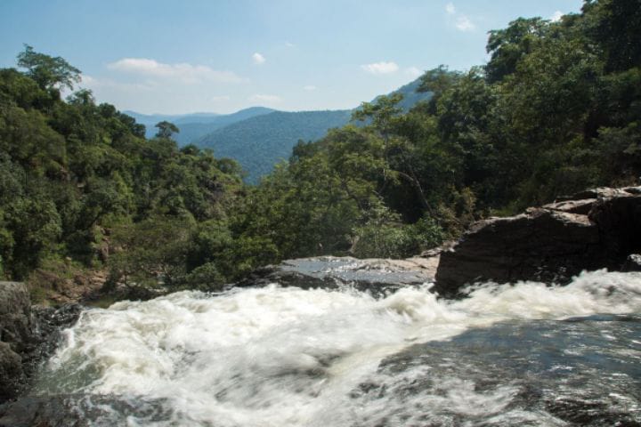 Pachamalai Hills:  ஊர் சுற்றலாம் வாங்க....இயற்கை அழகை தன்னுள் கொண்டுள்ள  பச்சைமலை பற்றி பார்ப்போம்