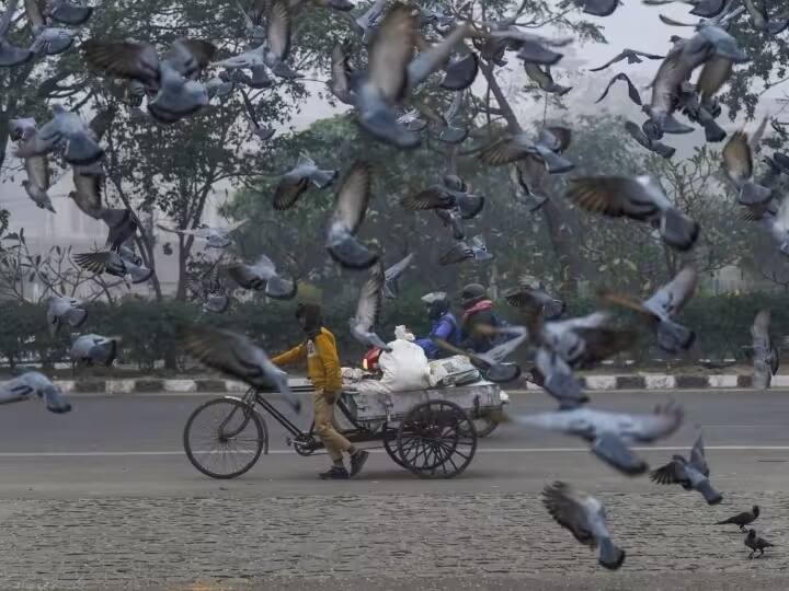 UP Weather Update News 15 February 2023 IMD Alert in UP Lucknow Noida Ghaziabad Kanpur Prayagraj Varanasi UP Weather Update: तापमान में बढ़ोतरी, तेज धूप के कारण गर्मी का असर, जानिए- आज कैसा रहेगा यूपी में मौसम