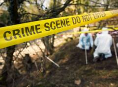 Murder Cases: श्रद्धा, निक्की, मेघा... तीन प्रेम कहानियां जो हत्याओं में बदल गईं और देश को हिलाकर रख दिया