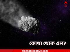 Asteroid Crosses Earth: ওয়ার্ল্ড ট্রেড সেন্টারের দ্বিগুণ আয়তন, বিপদ আনছে গ্রহাণু?