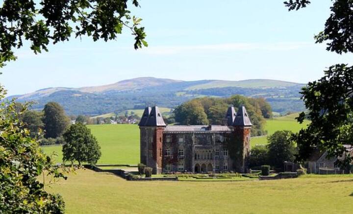 নিজের গবেষণা নিয়ে কতদূর এগিয়েছিলেন ভিঞ্চি, জানা নেই। তবে তাঁর চিন্তা-ভাবনা যে যুগের থেকে অনেক এগিয়ে ছিল, কত দূরদর্শী ছিলেন তিনি, সে ব্যাপারে নিশ্চিত বর্তমান যুগের বিজ্ঞানীরা।