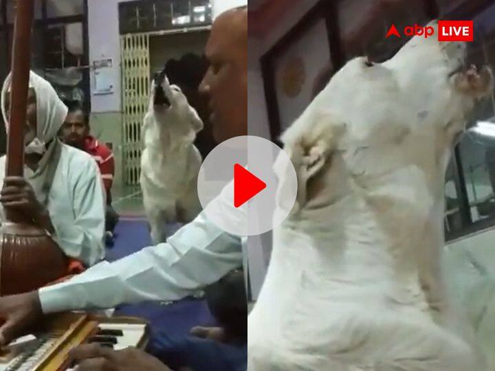 Watch Dog sings bhajan kirtan in  Pune Temple video goes viral on social media see video Watch: पुणे के इस मंदिर में कीर्तन के दौरान कुत्ते ने भी शुरू कर दिया गाना, खूब वायरल हो रहा ये Video