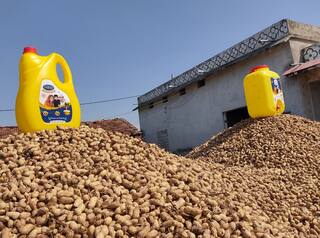 Edible Oil Price: સીંગતેલના ભાવમાં ભડકો, ગૃહિણીઓના ખોરવાશે બજેટ, ડબ્બાનો ભાવ 3000 પર પહોંચ્યો