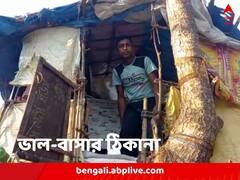 অরণ্যেই দিবারাত্রি, মগডালে ভাল-বাসার ঠিকানা, অনন্যকীর্তি বঙ্গতনয়ের