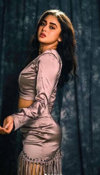 ਤੇਜਸਵੀ ਪ੍ਰਕਾਸ਼ ਦੇ ਗਲੈਮਰਸ ਅਵਤਾਰ ਨੇ ਵਧਾਇਆ ਇੰਟਰਨੈੱਟ ਦਾ ਪਾਰਾ