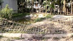 যুব মোর্চার মন্ডল সহ-সভাপতির জমি দখলের অভিযোগ তৃণমূলের বিরুদ্ধে, হইচই দিনহাটায়