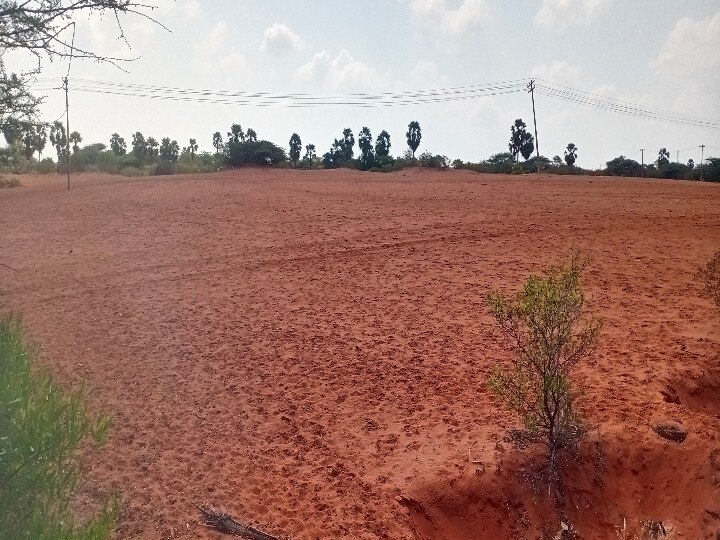 இயக்குநர் ஹரியின் படங்களில் தவறாது இடம் பிடிக்கும் தேரிக்காடு பாலைவனம் - அப்படி என்ன தான் ஸ்பெஷல்