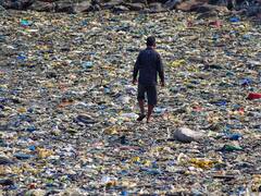 'पॉलीथिन दो, सोने का सिक्का लो' मुहिम, प्रदूषण रोकने के लिए जम्मू-कश्मीर के ग्राम प्रधान ने बनाया अनोखा मॉडल