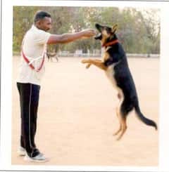 తేడా వస్తే వేటాడేస్తాయి, శిక్షణలో మేటి మన జాగిలాలు - వైభవంగా పాసింగ్ అవుట్ పరేడ్