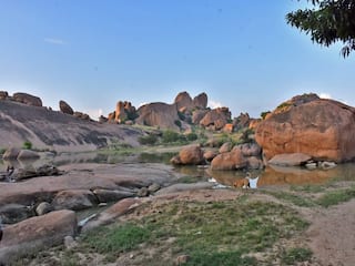 Madurai Hc ; மதுரையின் பழங்கால சமண சின்னங்களைப் பாதுகாப்பது தொடர்பாக, நடவடிக்கை எடுக்க வேண்டும் என நீதிபதள் உத்தரவு !