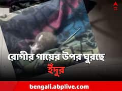 রোগীর গায়ের উপর দিয়ে ঘুরছে ইঁদুর, মালদা মেডিক্যালে ছবি ভাইরাল