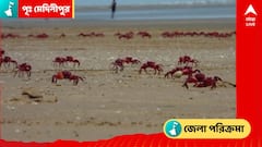 এই জেলার সমুদ্র ফিরিয়ে দেয় সম্পর্ক, এখানের মাটি থেকেই মাস্টার স্ট্রোক বঙ্গ-রাজনীতিতে